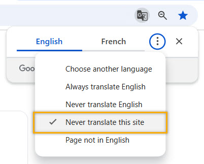 NeverTranslateThisWebsite